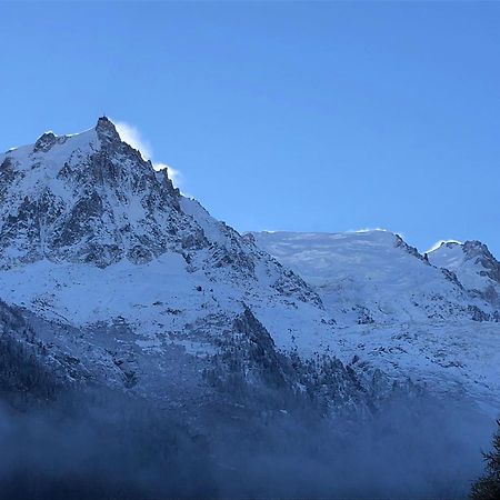 Les Alpins - Centre De Chamonix - Renove Avec Jardin Et Vue Imprenable Sur Le Montblanc Apartment ภายนอก รูปภาพ